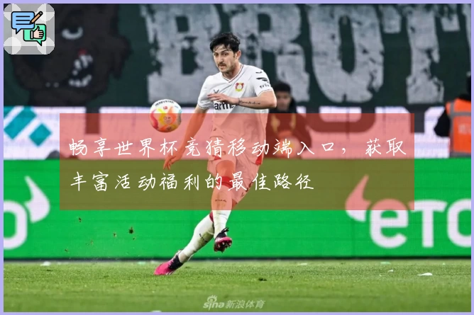 畅享世界杯竞猜移动端入口，获取丰富活动福利的最佳路径