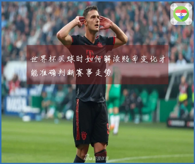 世界杯买球时如何解读赔率变化才能准确判断赛事走势