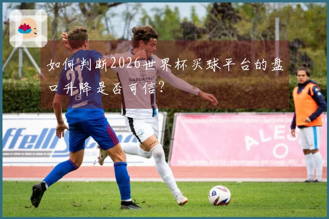 如何判断2026世界杯买球平台的盘口升降是否可信？