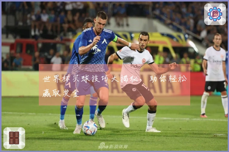 世界杯买球技巧大揭秘,助你轻松赢取奖金