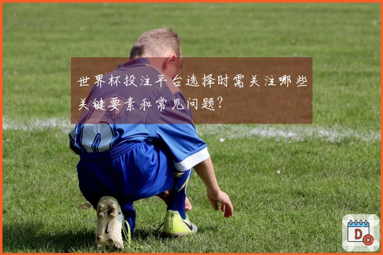 世界杯投注平台选择时需关注哪些关键要素和常见问题？