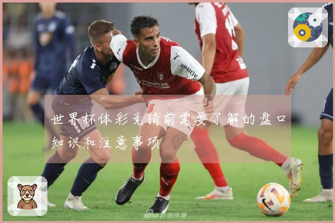 世界杯体彩竞猜前需要了解的盘口知识和注意事项