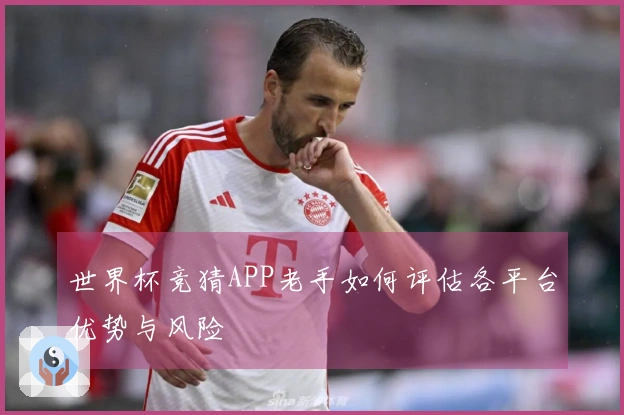 世界杯竞猜APP老手如何评估各平台优势与风险