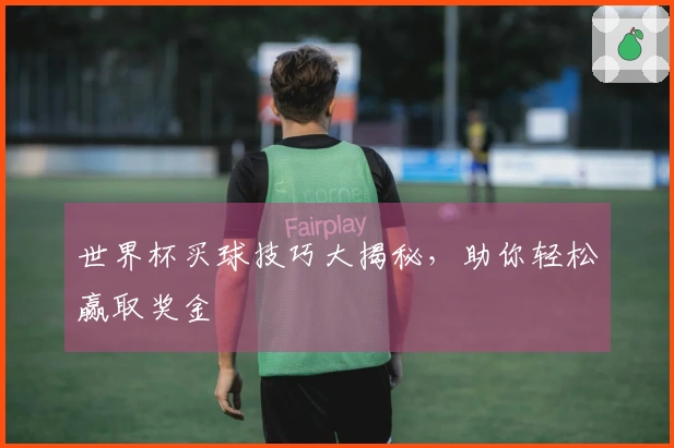 世界杯买球技巧大揭秘，助你轻松赢取奖金