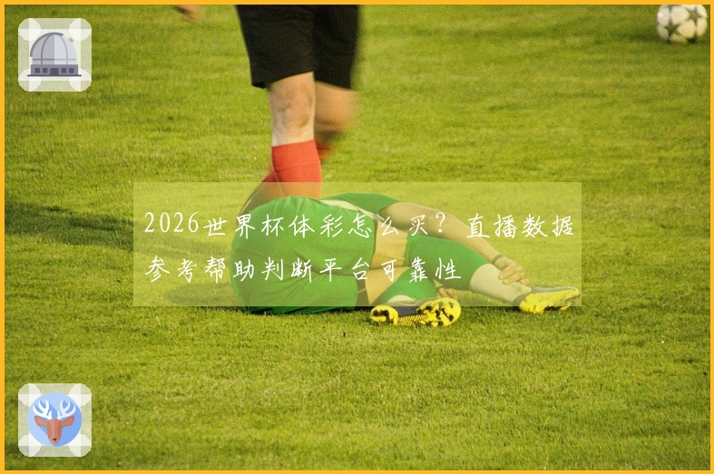 2026世界杯体彩怎么买？直播数据参考帮助判断平台可靠性
