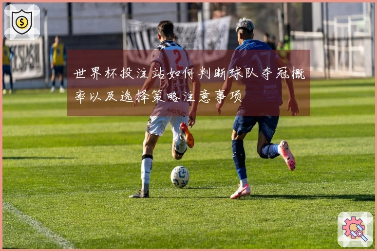 世界杯投注站如何判断球队夺冠概率以及选择策略注意事项