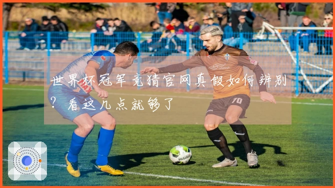 世界杯冠军竞猜官网真假如何辨别?看这几点就够了