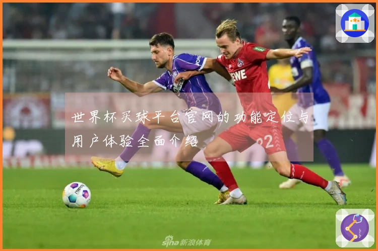 世界杯买球平台官网的功能定位与用户体验全面介绍