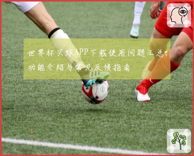 世界杯买球APP下载使用问题汇总：功能介绍与常见反馈指南