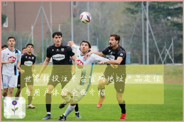 世界杯投注平台官网地址产品定位与用户体验全面介绍
