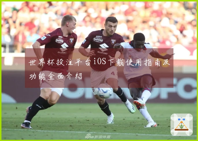 世界杯投注平台iOS下载使用指南及功能全面介绍