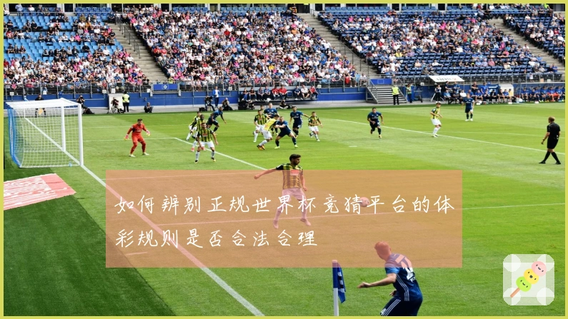 如何辨别正规世界杯竞猜平台的体彩规则是否合法合理