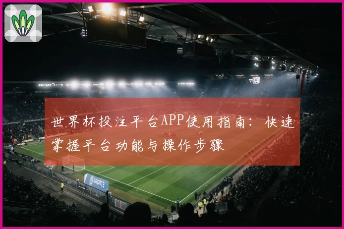 世界杯投注平台APP使用指南：快速掌握平台功能与操作步骤