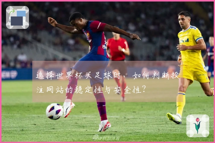选择世界杯买足球时，如何判断投注网站的稳定性与安全性？