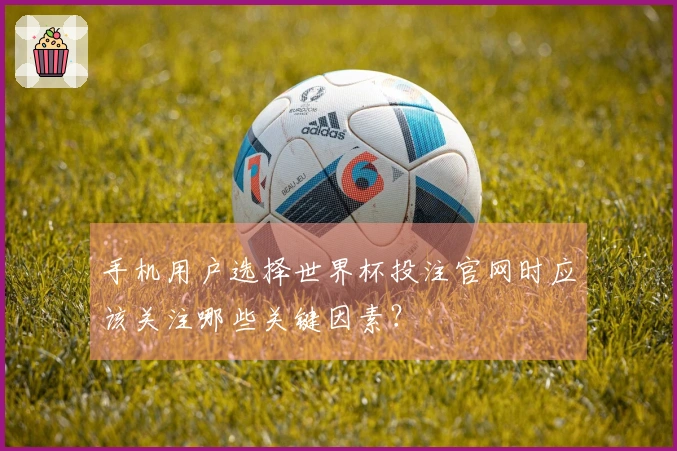 手机用户选择世界杯投注官网时应该关注哪些关键因素?