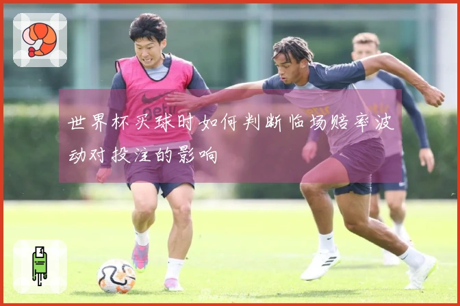 世界杯买球时如何判断临场赔率波动对投注的影响