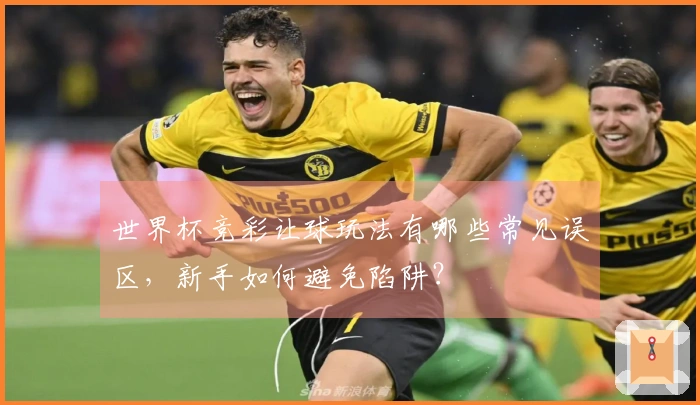 世界杯竞彩让球玩法有哪些常见误区，新手如何避免陷阱？