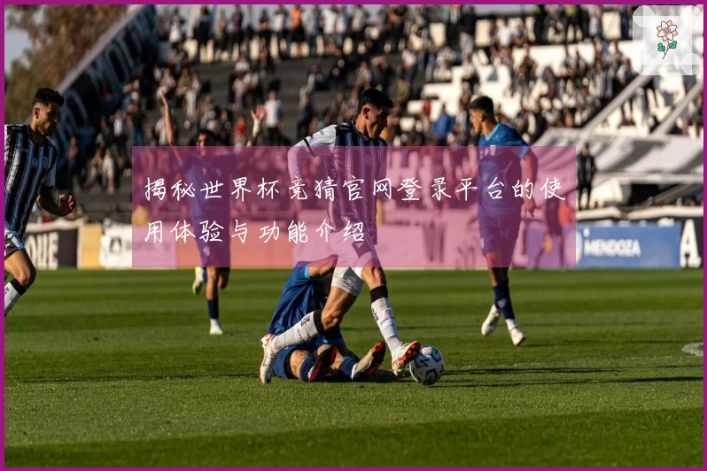 揭秘世界杯竞猜官网登录平台的使用体验与功能介绍