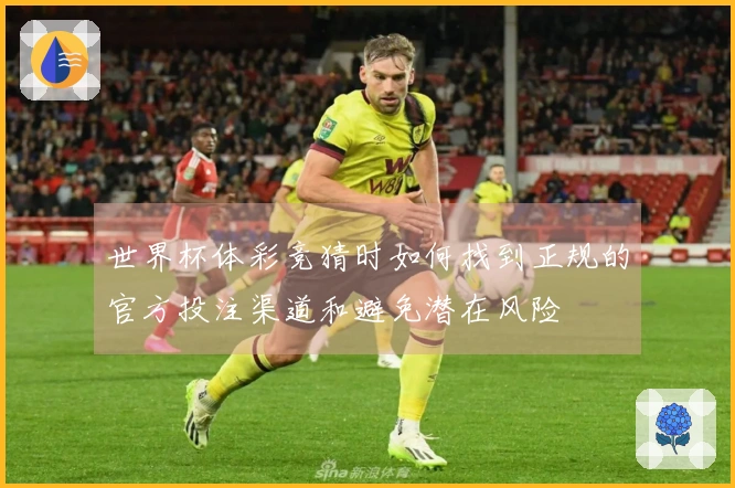 世界杯体彩竞猜时如何找到正规的官方投注渠道和避免潜在风险