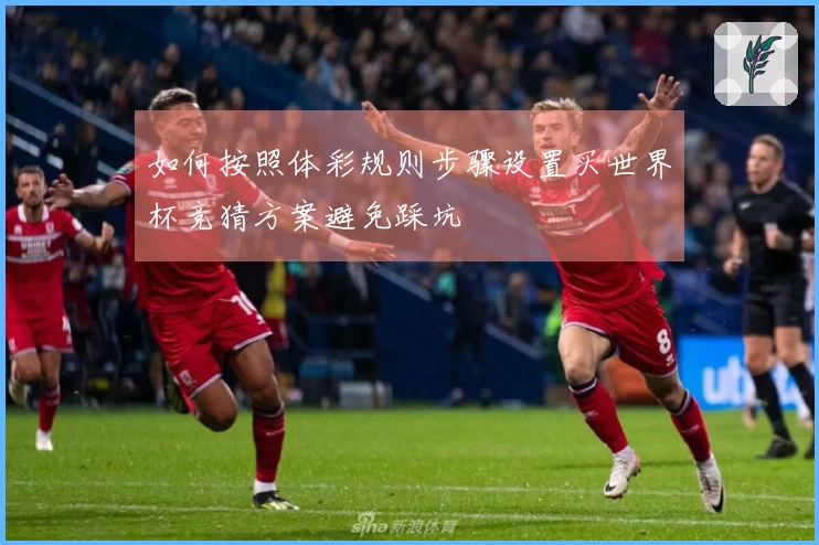 如何按照体彩规则步骤设置买世界杯竞猜方案避免踩坑