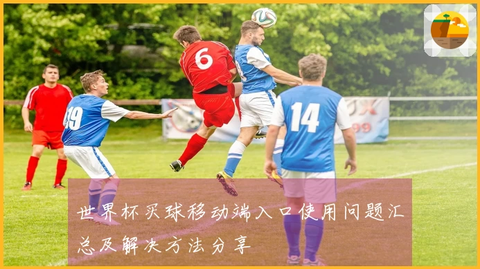 世界杯买球移动端入口使用问题汇总及解决方法分享